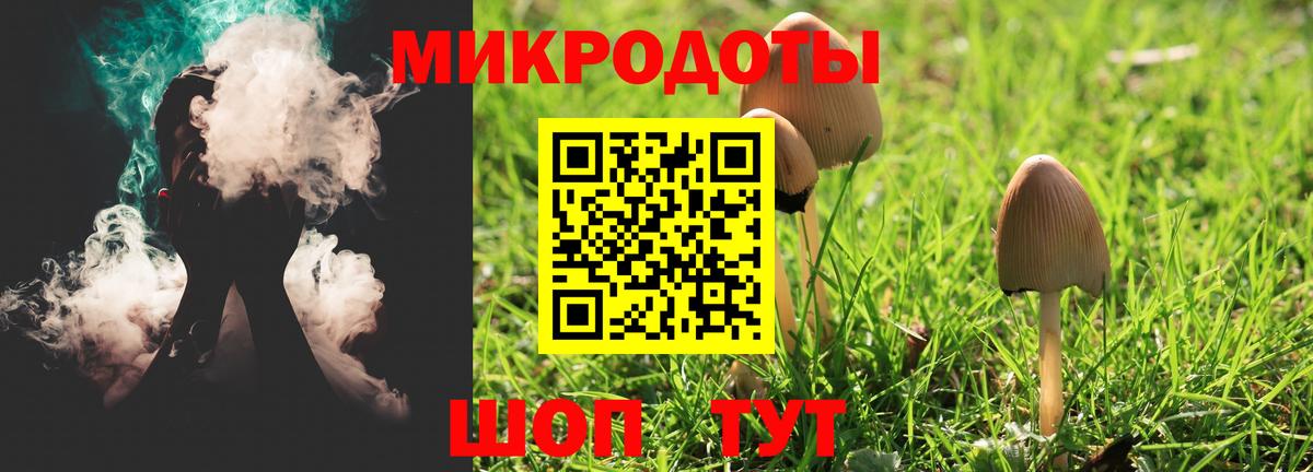 Псилоцибиновые грибы MAGIC MUSHROOMS  Вход с VPN  Калуга 