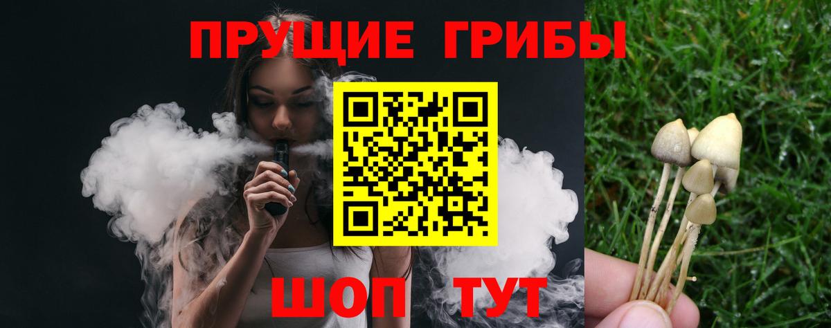 Галлюциногенные грибы прущие грибы Калуга